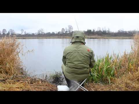 Видео: Ловля уклейки от ноября до января