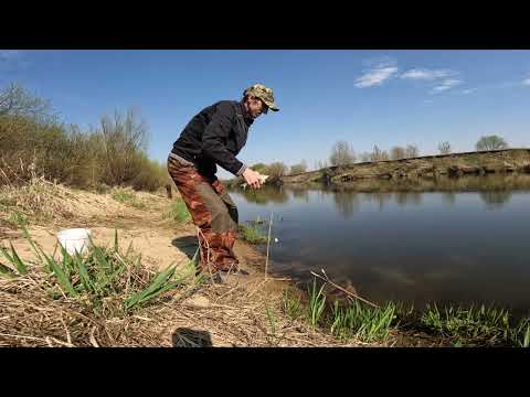 Видео: РЫБАЛКА НА ДОНКИ