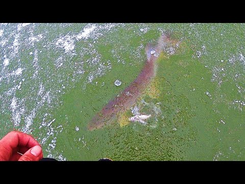 Видео: ЭТО ЧУДОВИЩЕ! РАЗВЕ ТАКОЕ ВОЗМОЖНО!? Рыбалка на мормышку и жерлицы 2024.