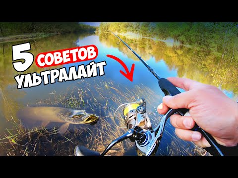 Видео: 5 СОВЕТОВ для РЫБАЛКИ на УЛЬТРАЛАЙТ НОВИЧКУ!!! КАК ЛОВИТЬ ОСЕНЬЮ на СПИННИНГ