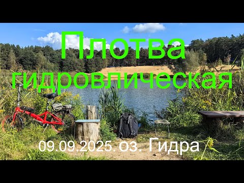 Видео: Плотва гидравлическая. 09.09.2025. озеро Гидра. г. Раменское. Рыбалка в Подмосковье.