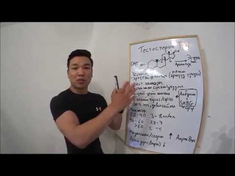 Видео: Тестостерон гэж юу вэ? Тестостерон видео цуврал #1
