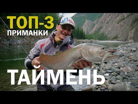 Видео: ТОП-3 приманки на ТАЙМЕНЯ. Рыболовное путешествие в Саянских горах