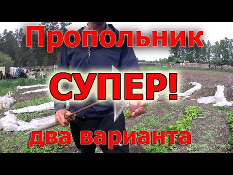 Видео: Как полоть траву легко и быстро. Лучший пропольник для огорода