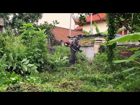 Видео: От заросших руин до дома мечты | Уборка заброшенного дома и стрижка травы