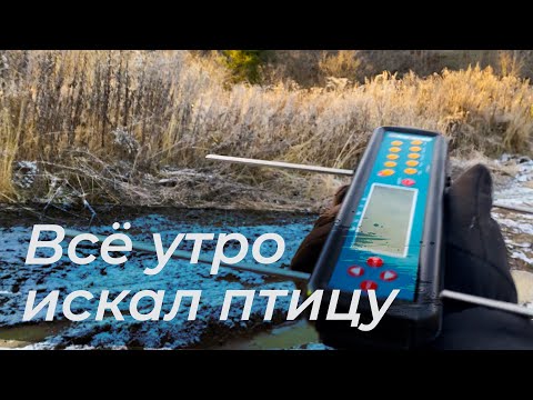 Видео: Гоша ночевал в лесу / Улетел и не вернулся