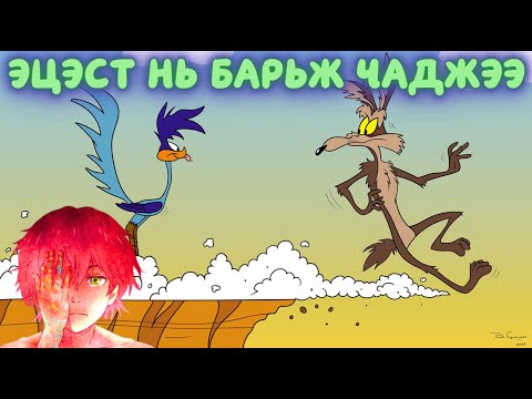 Видео: Энэ нэг шувууг хэдэн жил хөөсөн билээ?
