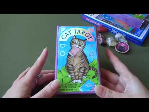 Видео: Обзор и особенности колоды "Таро Котиков"/"Cat Tarot"