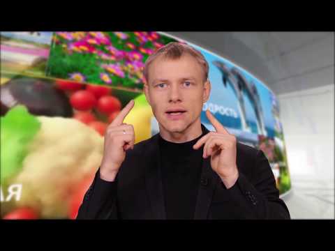 Видео: Здоровье это легко-17. Световой ключ к биоритмам.