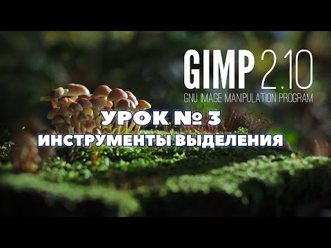Видео: Графический редактор GIMP 2.10/Урок 3 Инструменты выделения