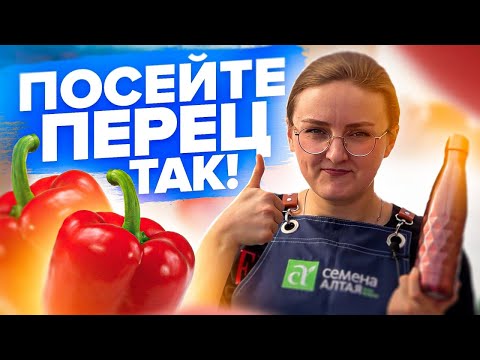 Видео: ПОСЕВ ПЕРЦА! Эксперимент