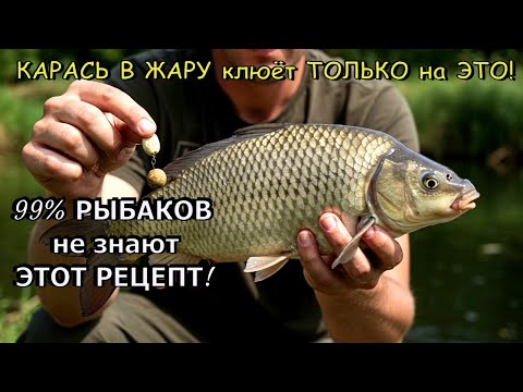 Видео: ШОК! Карась КЛЮЕТ как бешеный в ЛЮБУЮ жару! Секрет насадки, который от вас СКРЫВАЛИ!