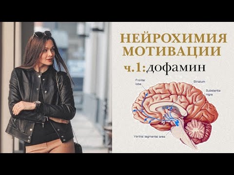 Видео: НЕЙРОХИМИЯ МОТИВАЦИИ: Дофамин. Достигать цели без откатов и срывов.