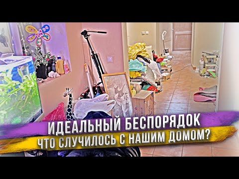 Видео: Почему в нашем доме такой бардак? Спасаем цветы от холода. Аквариум изменился. Новая игрушка Масика!