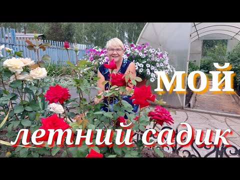 Видео: Цветущий огородик 11 июля.