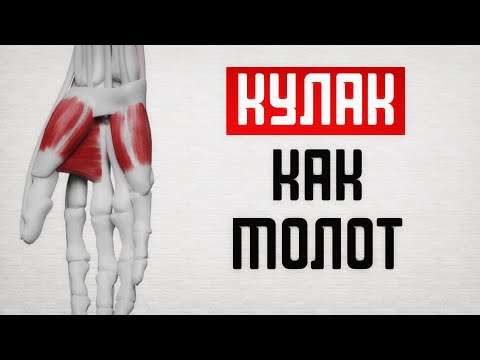 Видео: Как увеличить кулак? Тяжелые кулаки!