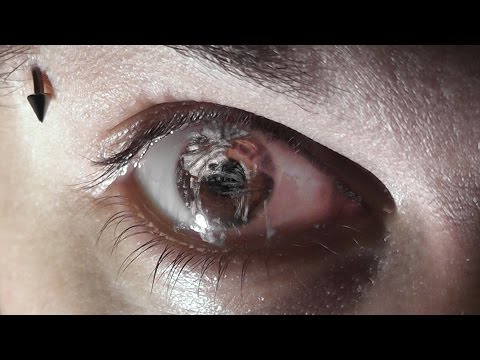 Видео: ТЕПЕРЬ Я ВИДЕЛ ВСЁ - Resident Evil 7: Biohazard #13