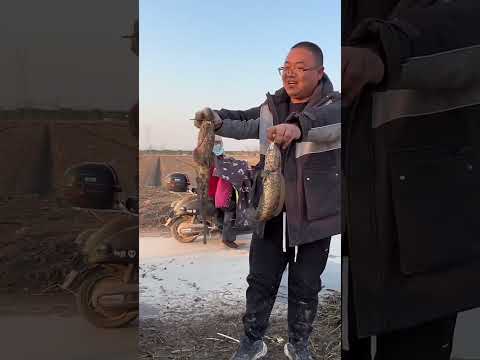 Видео: Рыба JCB 🐠🐟 Охота на реке