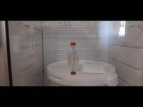 Видео: Брожение пива в домашних условиях (Эль) и разлив на карбонизацию.