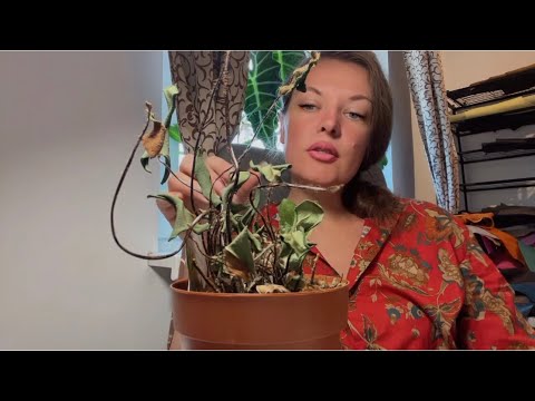 Видео: Цветок сдох 😑 я в депрессии