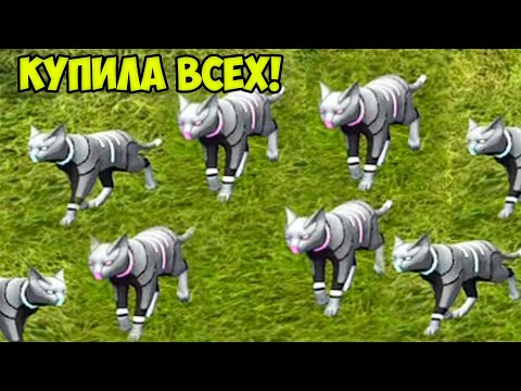 Видео: Симулятор КОТА и КОШКИ #13 Купила ВСЕХ котиков Победа над КАБАНОМ