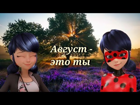 Видео: Леди баг и Супер кот/Август - это ты