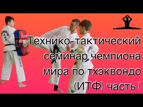 Видео: Технико-тактический семинар чемпиона мира по тхэквондо (ИТФ ) часть I