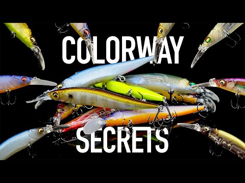 Видео: Возможно, вы больше никогда их не увидите! 8 неотразимых расцветок мегабасов, о которых должен зн...