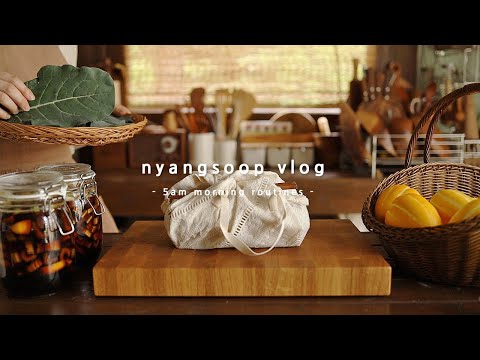 Видео: Здоровый корейский загородный мир, который начинается в 5 утра! здоровый обед 🌿