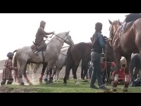 Видео: Бузкаши Хамадони (Саркокул) 23.02.2025
