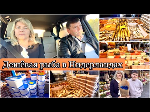 Видео: Рыбный Рынок в Нидерландах / Самая Вкусная Селёдка и Сыр / Эншеде Голландия /