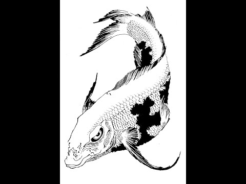 Видео: Потерянная запись.  Кои но такинобори рю 2008 год. Часть №1