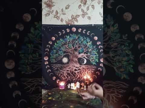 Видео: 🍁☘️ТАРО ДЛЯ МУЖЧИН.Какие долгожданные события произойдут в октябре месяце#мысличувствадействия🍁☘️