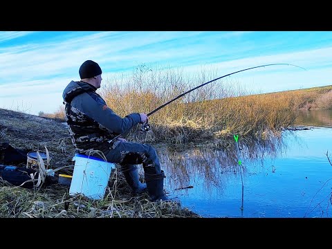 Видео: ПОПЛАВОК!!! Ловля ПЛОТВЫ! Сезон открытой воды открыт!