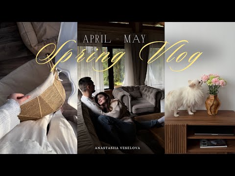 Видео: Spring Vlog | прогулки по расцветающему Питеру | уютная сервировка стола | бокс для собак во Frunk