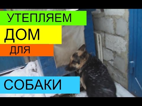 Видео: УТЕПЛЯЕМ БУДКУ ДЛЯ СОБАКИ. НАТУРАЛЬНЫМИ МАТЕРИАЛЛАМИ