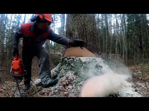 Видео: ПОШАГОВАЯ ВАЛКА ДОМКРАТОМ!!!Прощай Чертов  квартал.