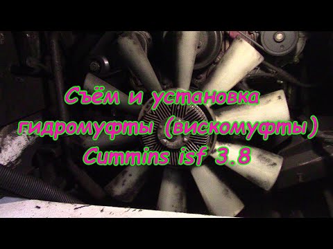 Видео: Съём и установка гидромуфты (вискомуфты) Cummins isf 3.8 | Гидромуфта вентилятора камминз3.8