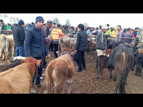 Видео: мол бозори н.Дусти 30-октябр навори тоза.