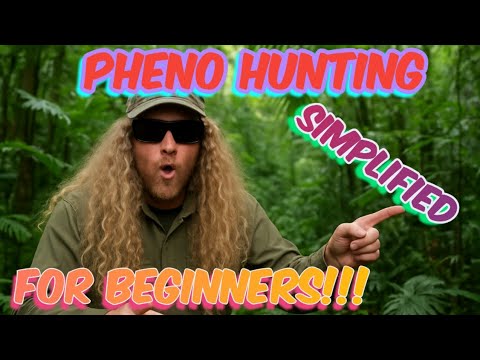 Видео: Как я охотюсь с помощью фенотерапии за морозными растениями-монстрами