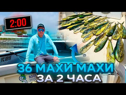 Видео: Рыбалка в сентябре на Фуджейре