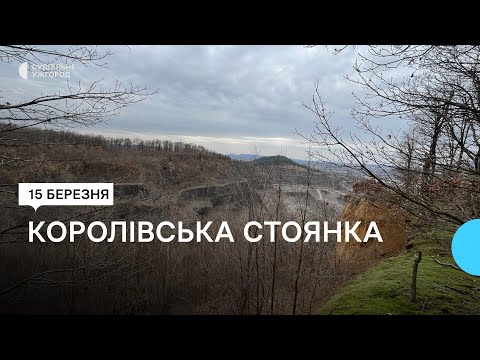 Видео: 1,4 млн років: стоянка перших людей поблизу селища на Закарпатті може бути найдавнішою у Європі