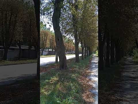 Видео: Как я сегодня искала работу в городе Житомире 