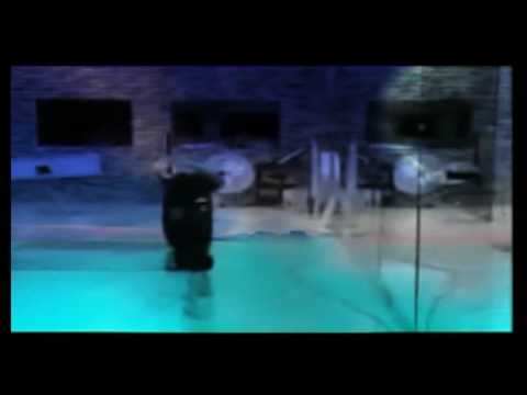 Видео: БИС -Двухполярный мир