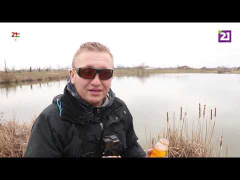 Видео: Карпатське рибалля / Ловля карася на фідер в селі Чомонин на озері