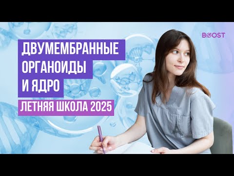 Видео: ДВУМЕМБРАННЫЕ ОРГАНОИДЫ  | ЯДРО | BOOST