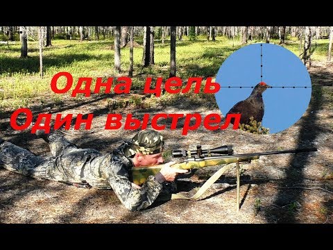 Видео: КАК СДЕЛАТЬ ТОЧНЫЙ ВЫСТРЕЛ