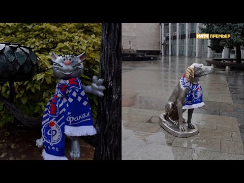 Видео: Нас обманули, Воронеж - не футбольный город?! Сгонял в гости к «Факелу»