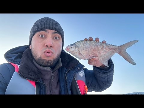 Видео: Куртинское водохранилище 3.01.2025.Вот и я впервые съездил на Курты.