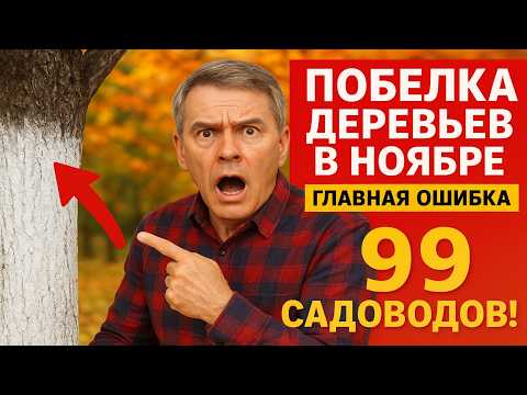Видео: Побелка Деревьев в Ноябре: ГЛАВНАЯ ОШИБКА 99% Садоводов! | Разоблачение мифа